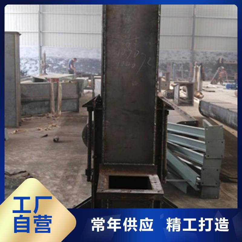 TH圆环链型斗式机现货齐全