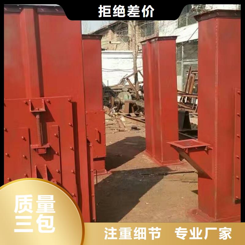 NE100链板斗式机型号齐全