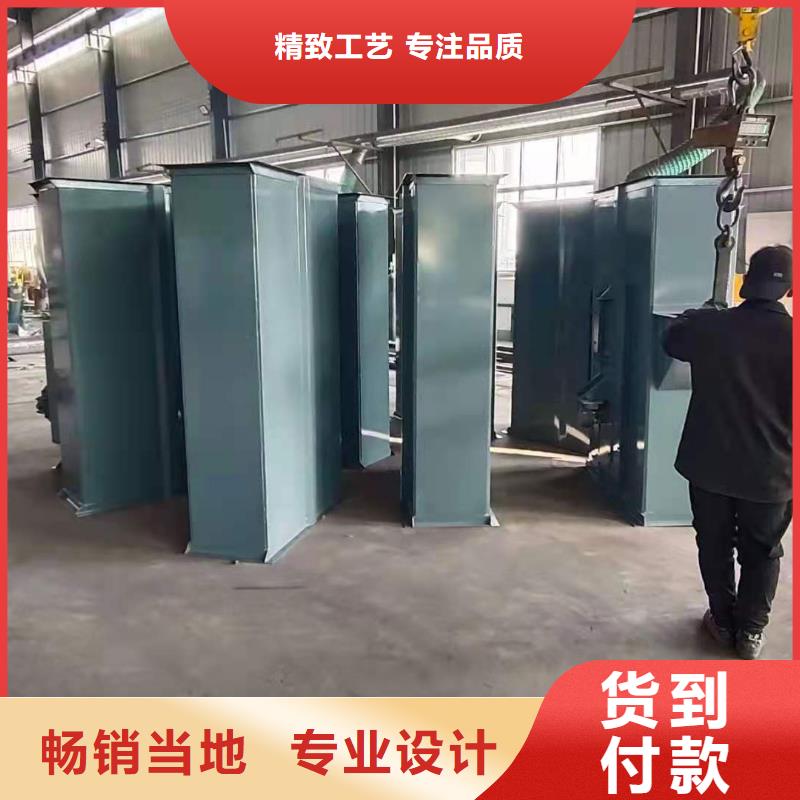 NE100链板斗式机型号齐全