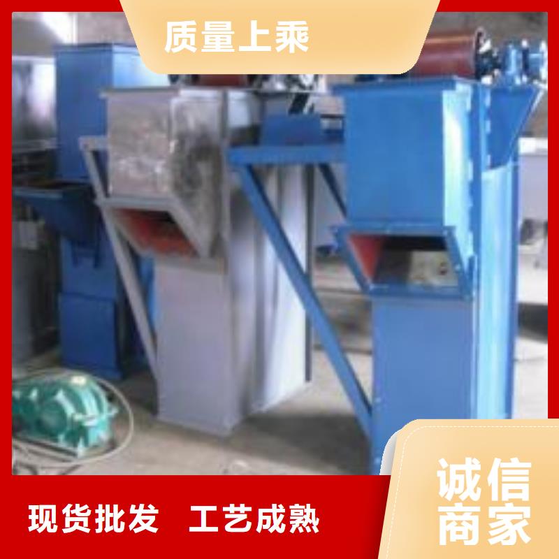 TH圆环链型斗式机质量保证