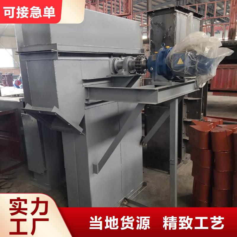 TD200斗式机欢迎咨询