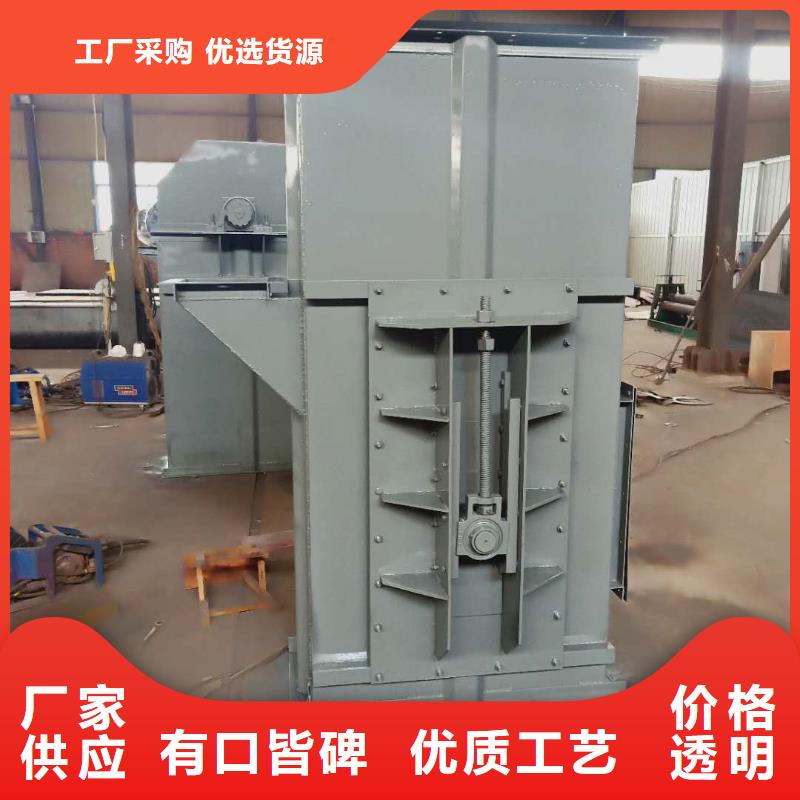 NE100链板斗式机现货供应