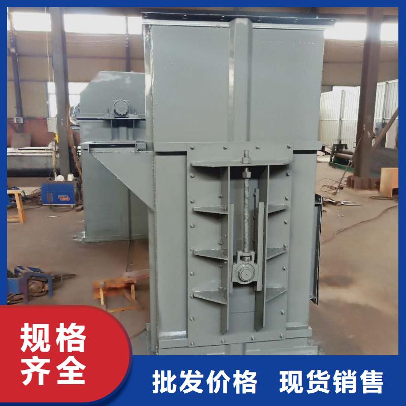 NE100链板斗式机型号齐全