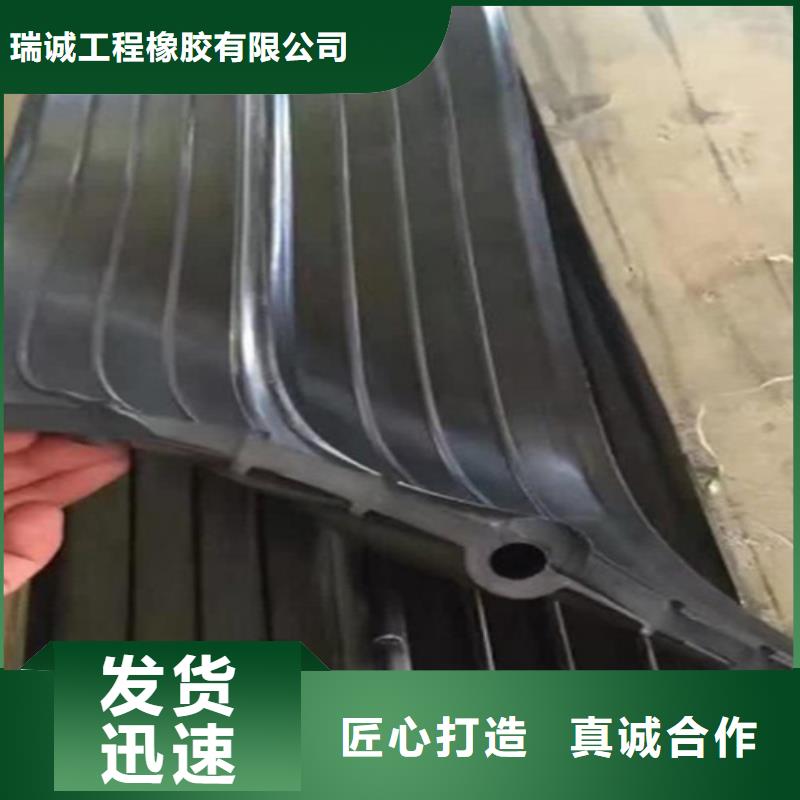 橡胶止水带-桥梁伸缩缝使用方法