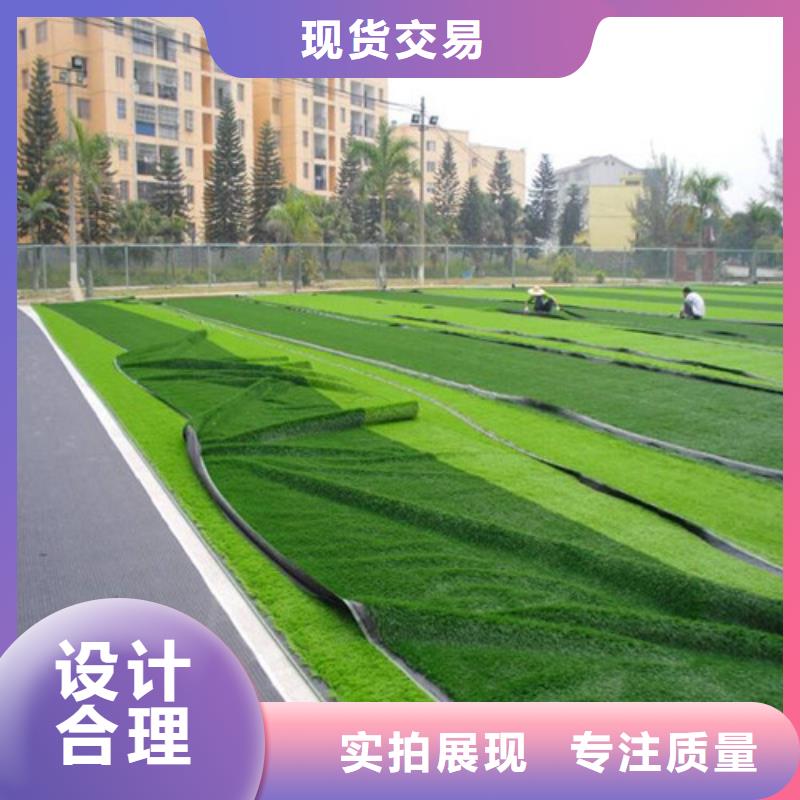 人造草坪一致好评产品