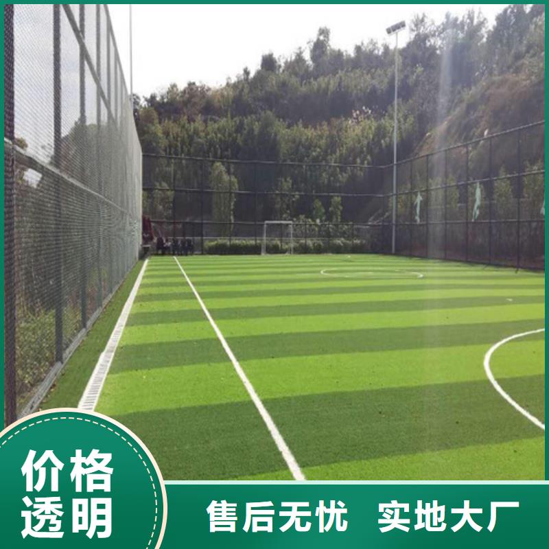 人造草坪一致好评产品