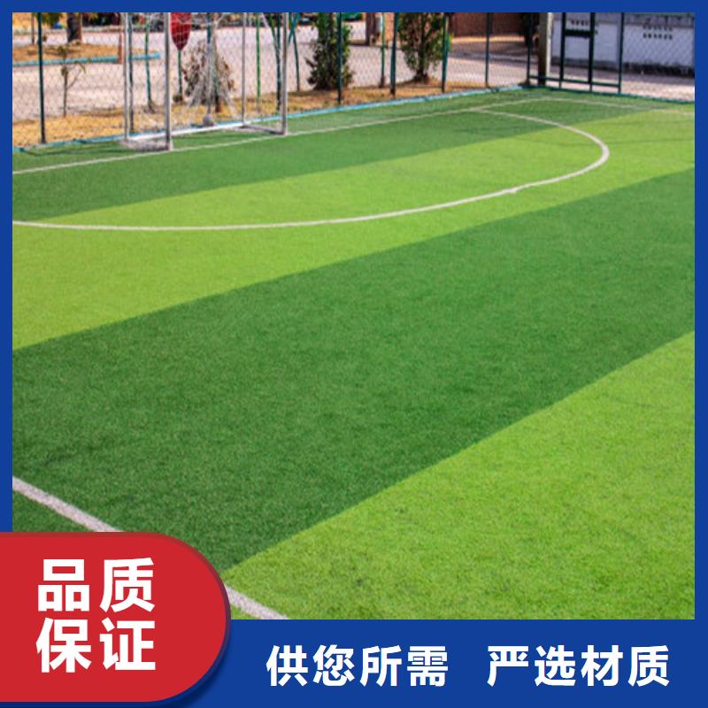 人造草坪一致好评产品