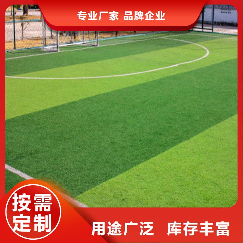 人造草坪一致好评产品