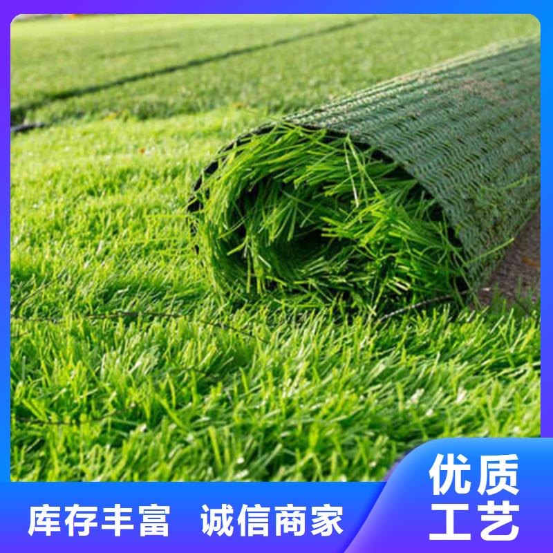 人造草坪一致好评产品