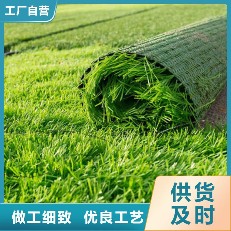 人造草坪一致好评产品