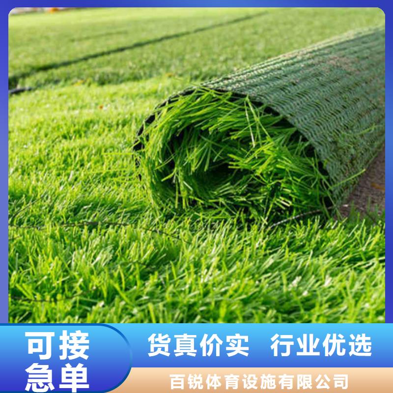人造草坪一致好评产品