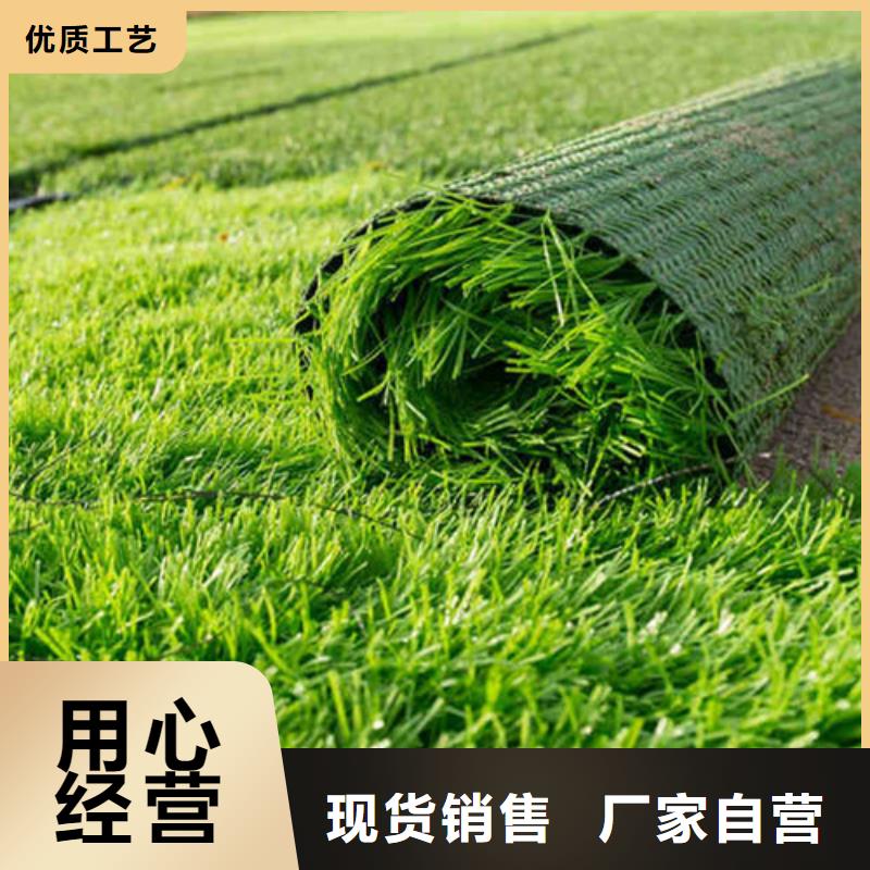 人造草坪一致好评产品