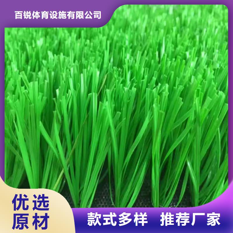 人造草坪一致好评产品