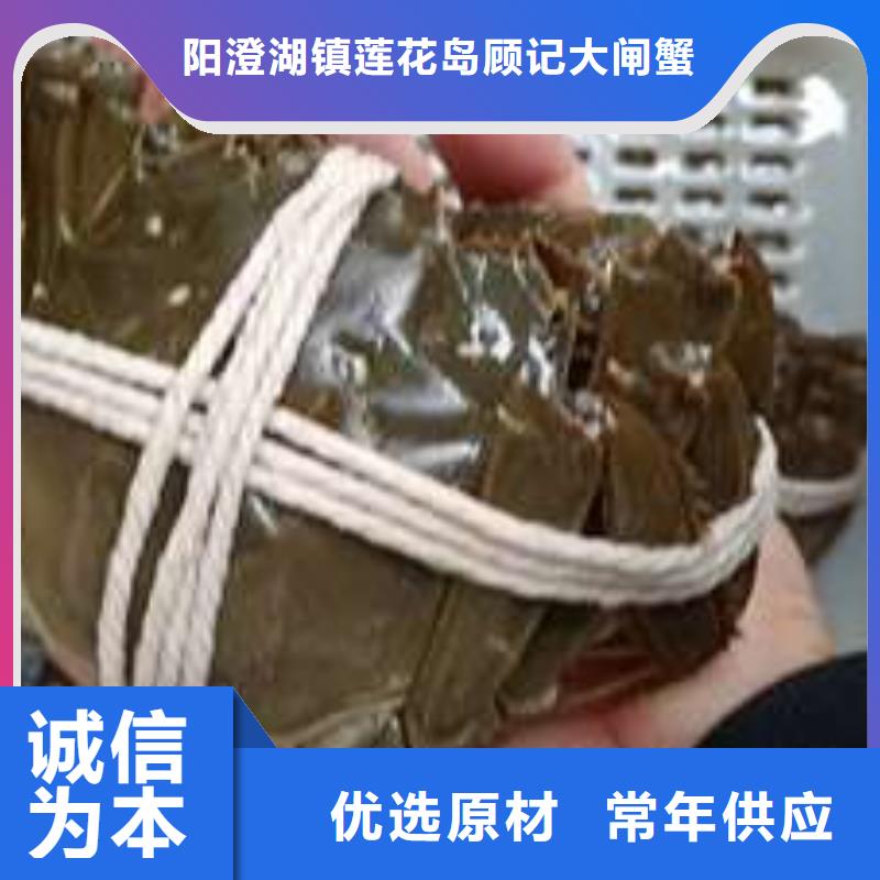 蟹阳澄湖大闸蟹几月份吃一站式厂家