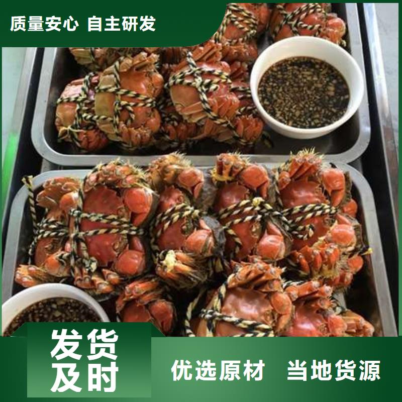 蟹,阳澄湖大闸蟹到哪里买源厂供货