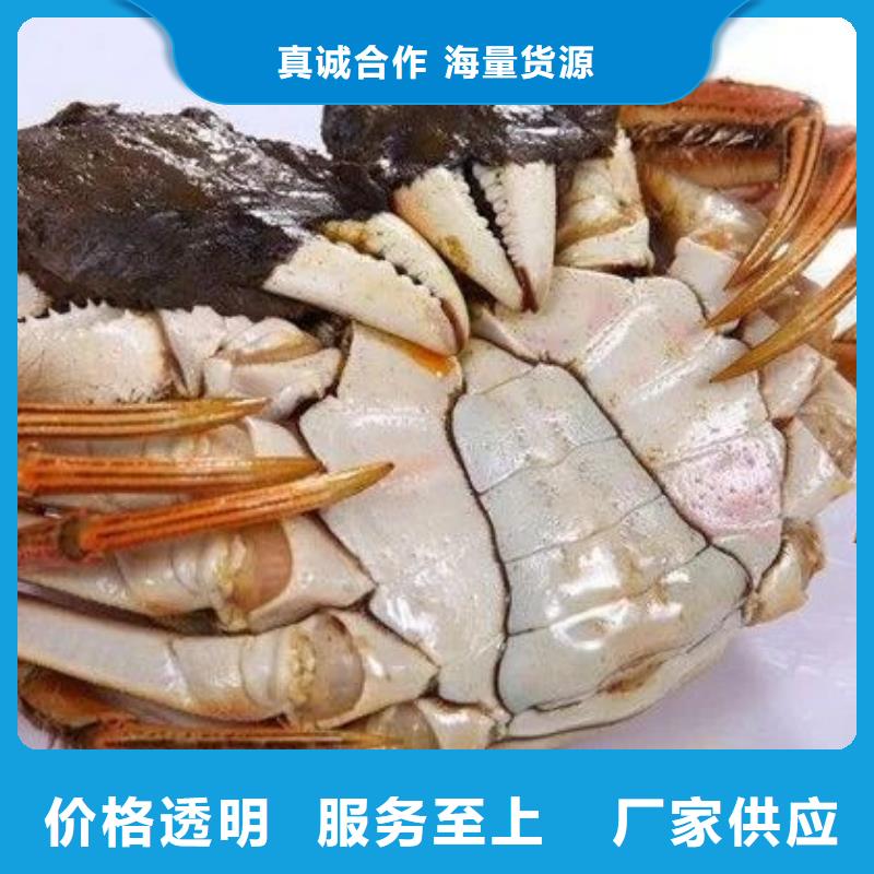 蟹近的阳澄湖大闸蟹销售点源头厂家供应