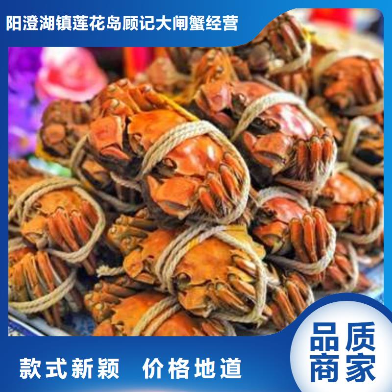 蟹阳澄湖大闸蟹几月份吃一站式厂家