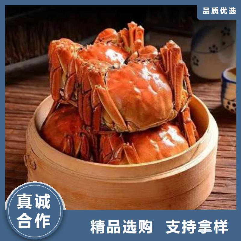蟹阳澄湖大闸蟹到哪里买专业设计