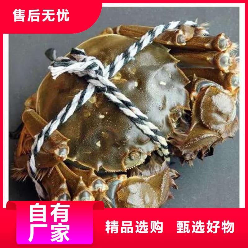 蟹_近的阳澄湖大闸蟹销售点生产安装