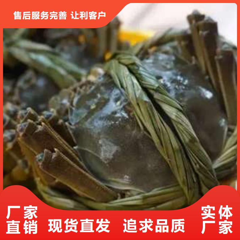 蟹阳澄湖大闸蟹到哪里买专业厂家