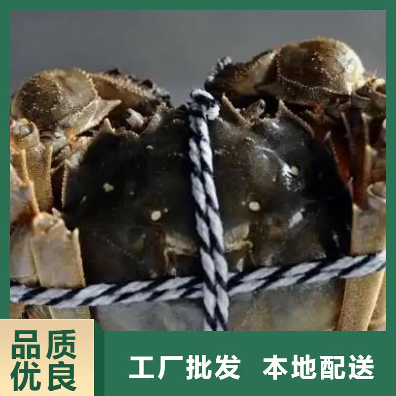 蟹阳澄湖大闸蟹零售店做工精细