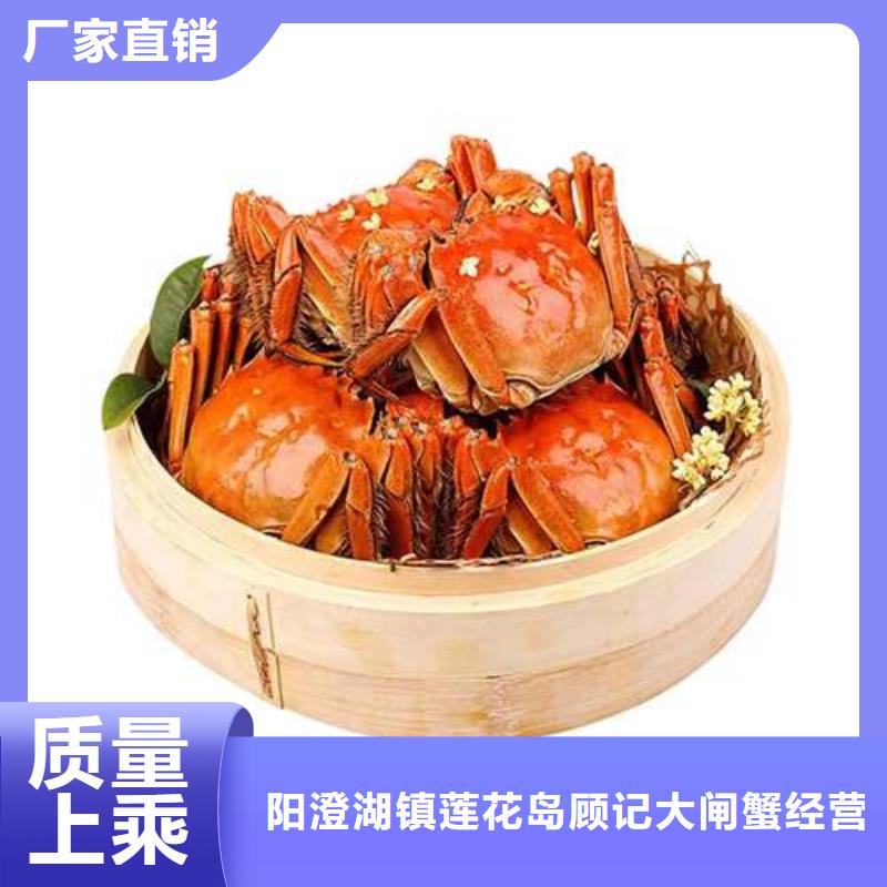 蟹阳澄湖大闸蟹批发店供应采购