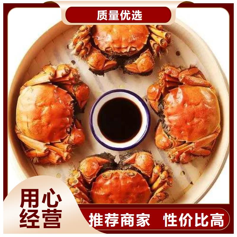 蟹阳澄湖大闸蟹到哪里买专业设计
