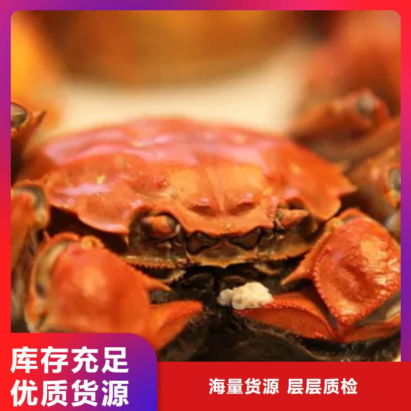 蟹阳澄湖大闸蟹到哪里买专业设计