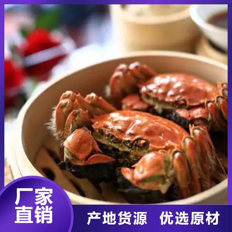 蟹近的阳澄湖大闸蟹销售点源头厂家供应