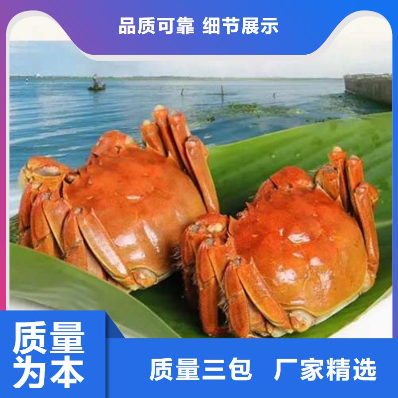 蟹阳澄湖大闸蟹批发店供应采购