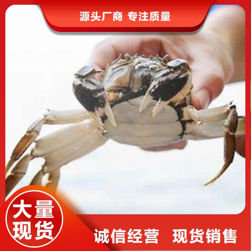 蟹阳澄湖大闸蟹礼盒核心技术