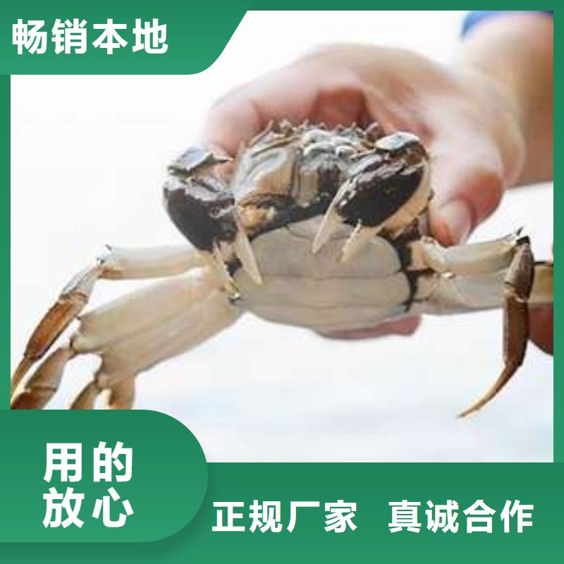 蟹阳澄湖大闸蟹零售店自有厂家