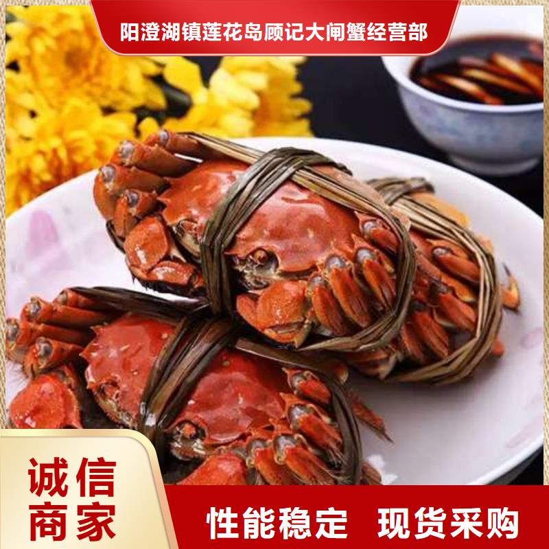 蟹阳澄湖大闸蟹批发店供应采购