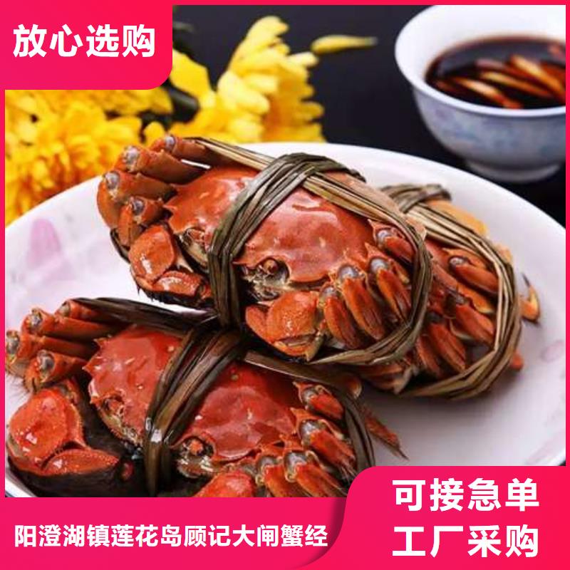 蟹阳澄湖大闸蟹到哪里买专业设计