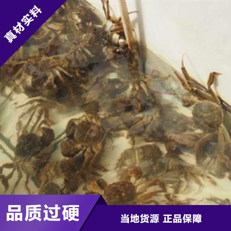 蟹阳澄湖大闸蟹礼盒核心技术