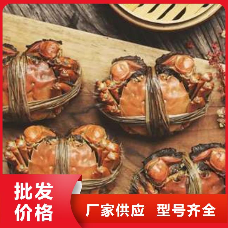 蟹,哪里有卖阳澄湖大闸蟹源头厂源头货