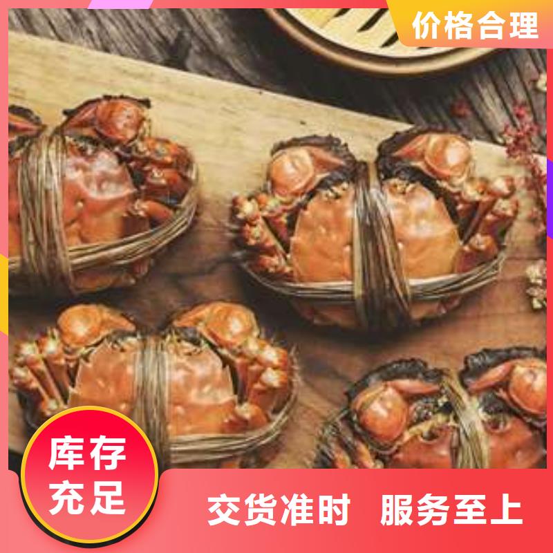 蟹阳澄湖大闸蟹礼盒定制批发