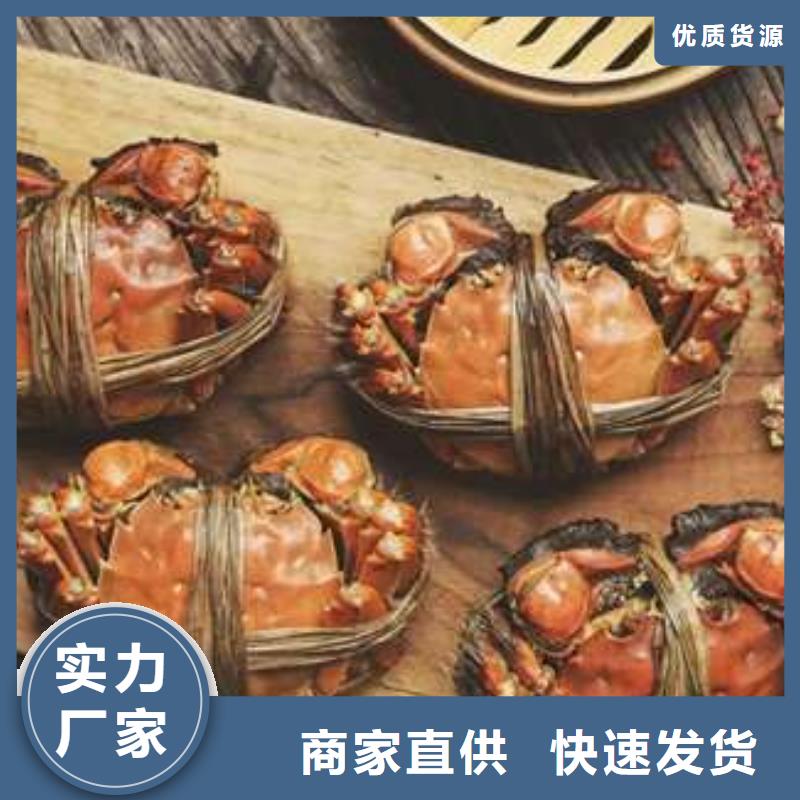 蟹阳澄湖大闸蟹零售店自有厂家