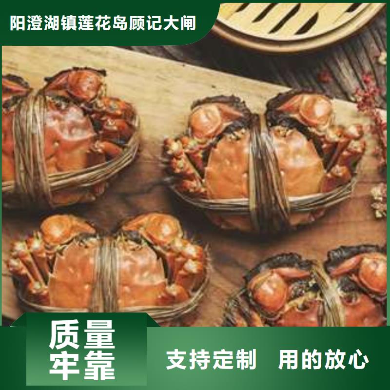 蟹-阳澄湖大闸蟹直营店实力优品