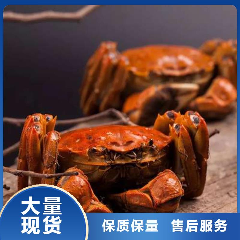 蟹阳澄湖大闸蟹网购用品质说话