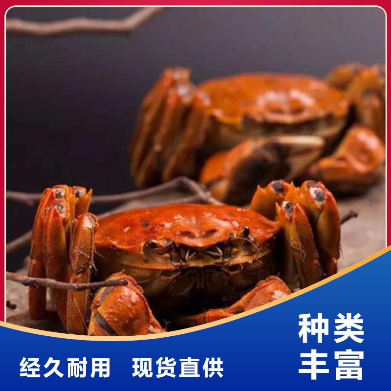 蟹阳澄湖大闸蟹几两吃现货批发