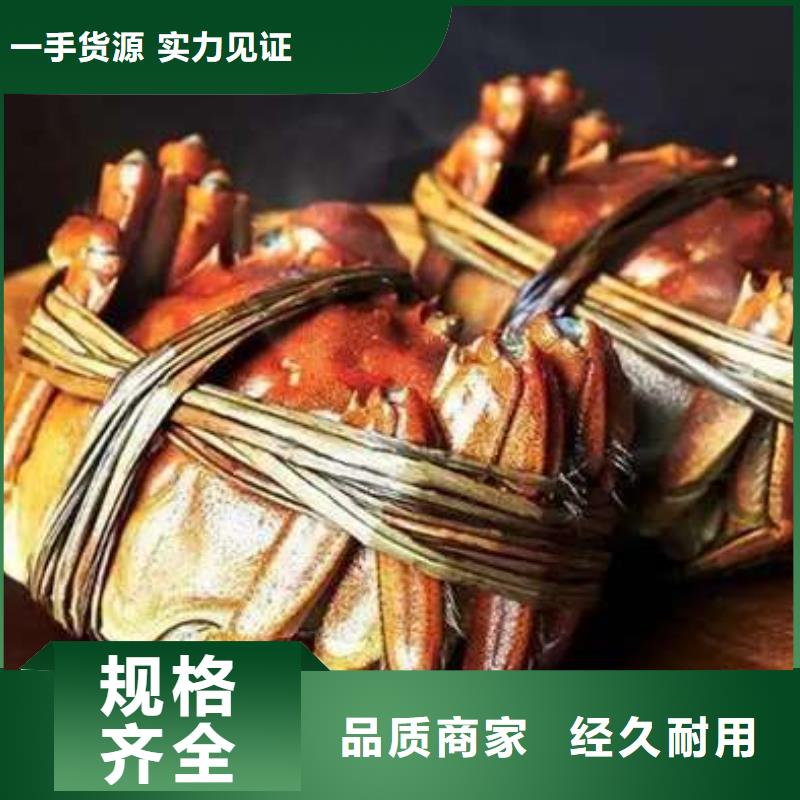 蟹阳澄湖大闸蟹几两吃现货批发