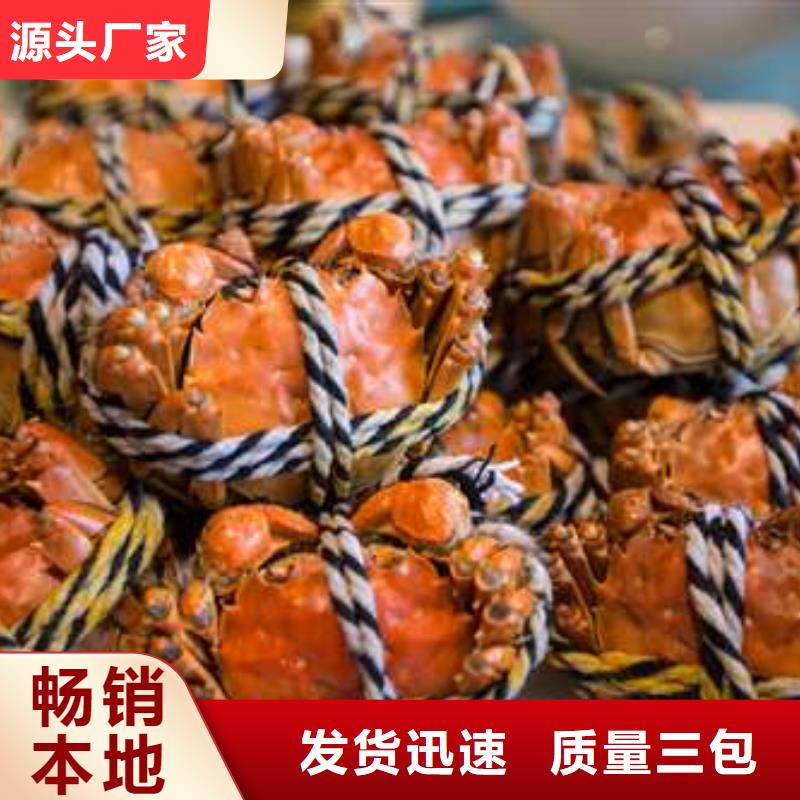 蟹-阳澄湖大闸蟹直营店实力优品