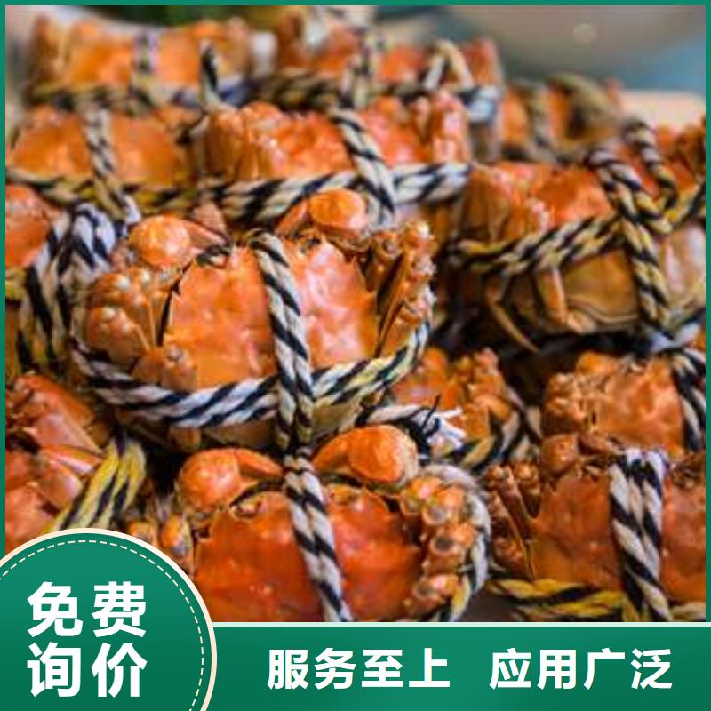 蟹阳澄湖大闸蟹批发店严格把控每一处细节
