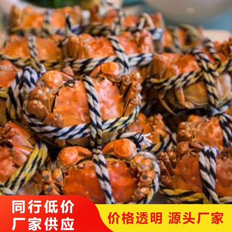 蟹阳澄湖大闸蟹到哪里买专业设计