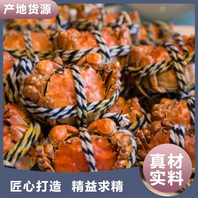 蟹,阳澄湖大闸蟹到哪里买源厂供货