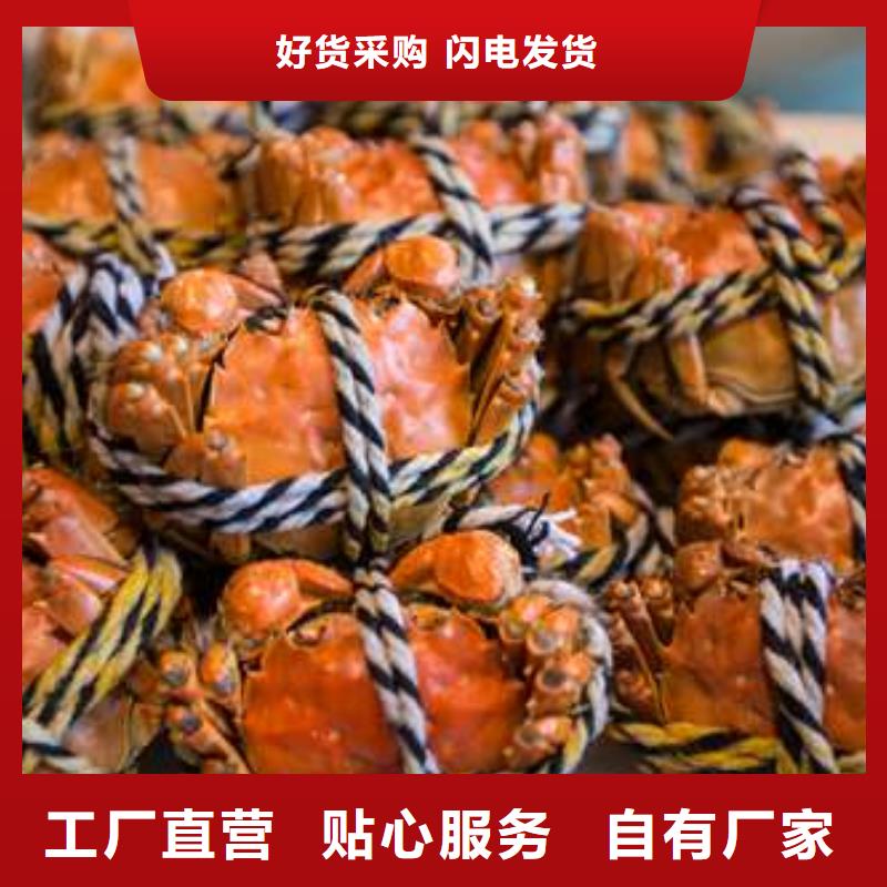 蟹阳澄湖大闸蟹网购严选材质