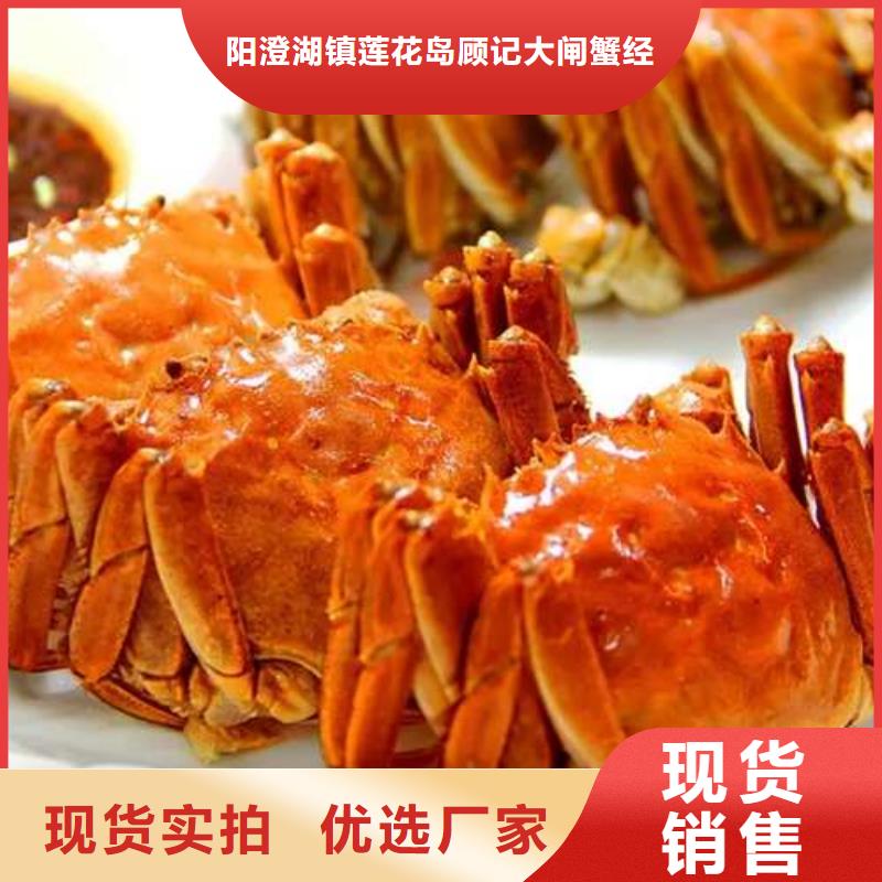 蟹阳澄湖大闸蟹到哪里买专业设计