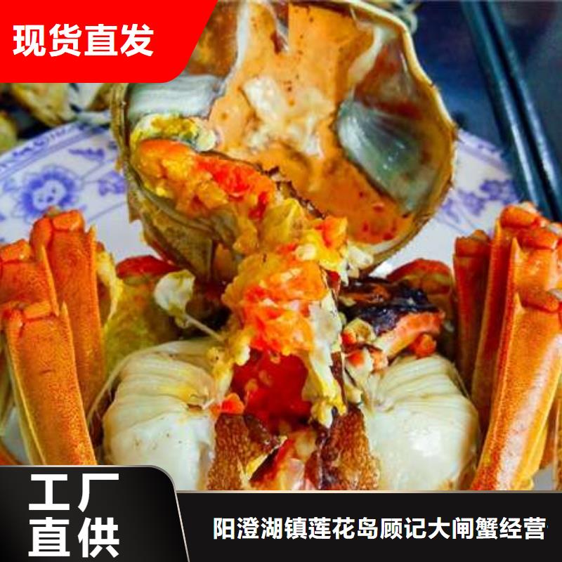 蟹近的阳澄湖大闸蟹销售点专业生产设备