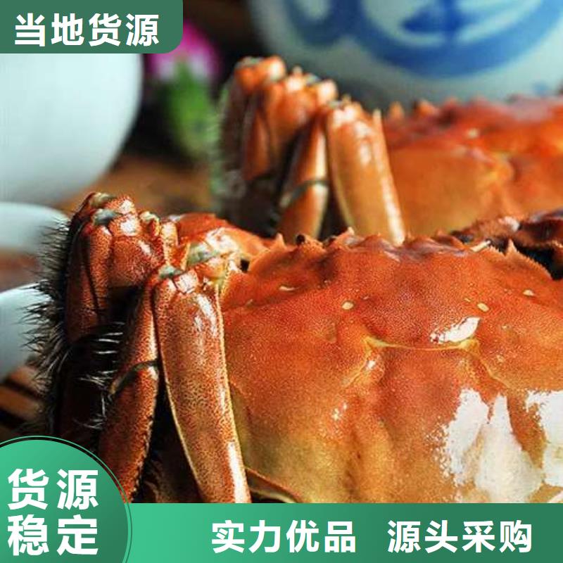 蟹阳澄湖大闸蟹到哪里买专业厂家